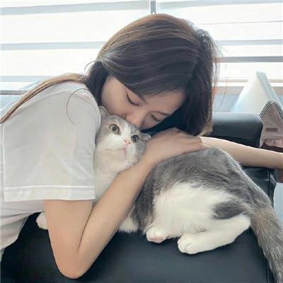 情感的禁区